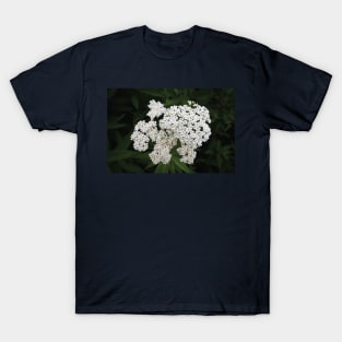 Flowers T-Shirt